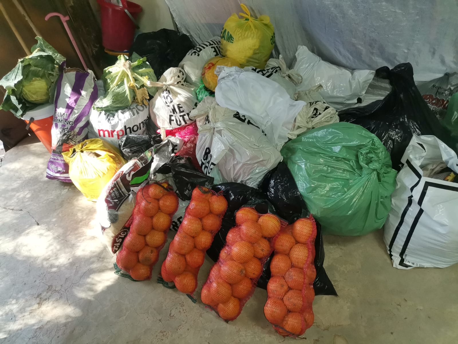 WhatsApp Image 2024-08-28 at 12.36.01 PM (1)