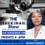 radio flyer_1748225913752